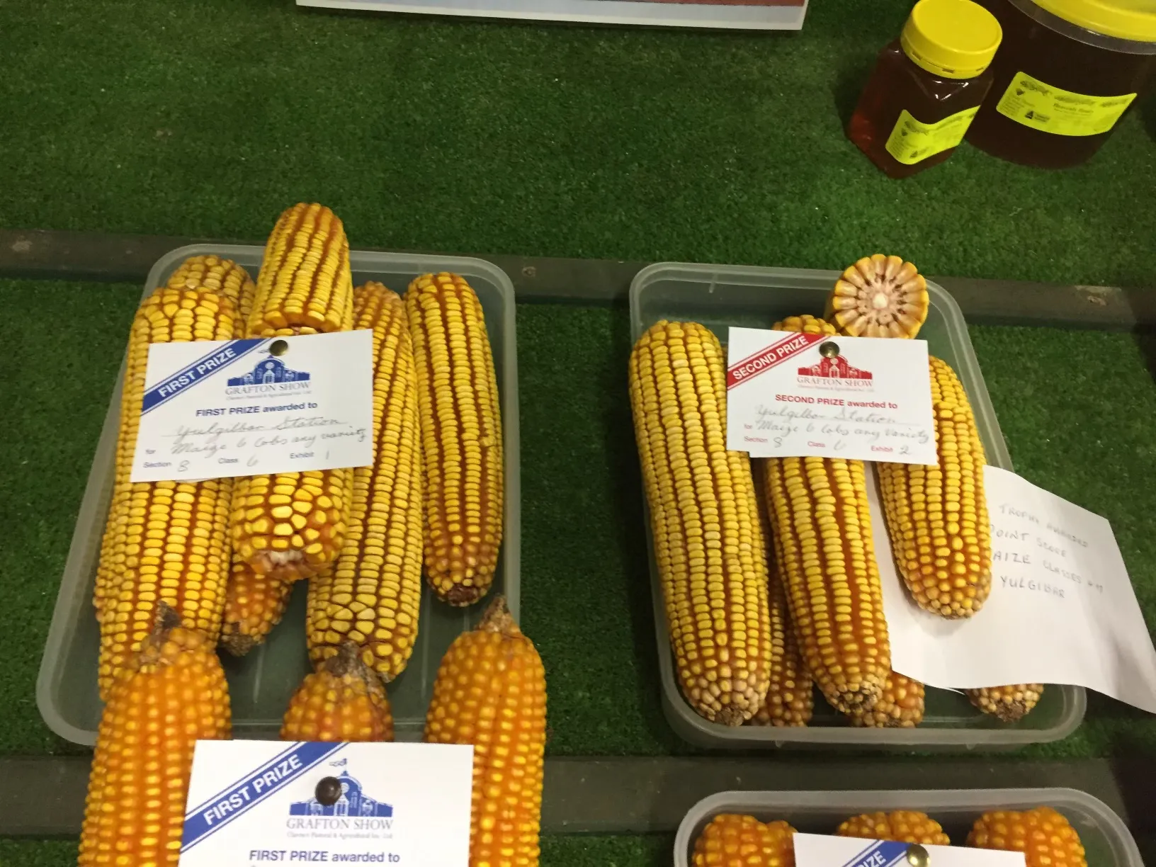 Harvesting on the Yulgilbar farming country