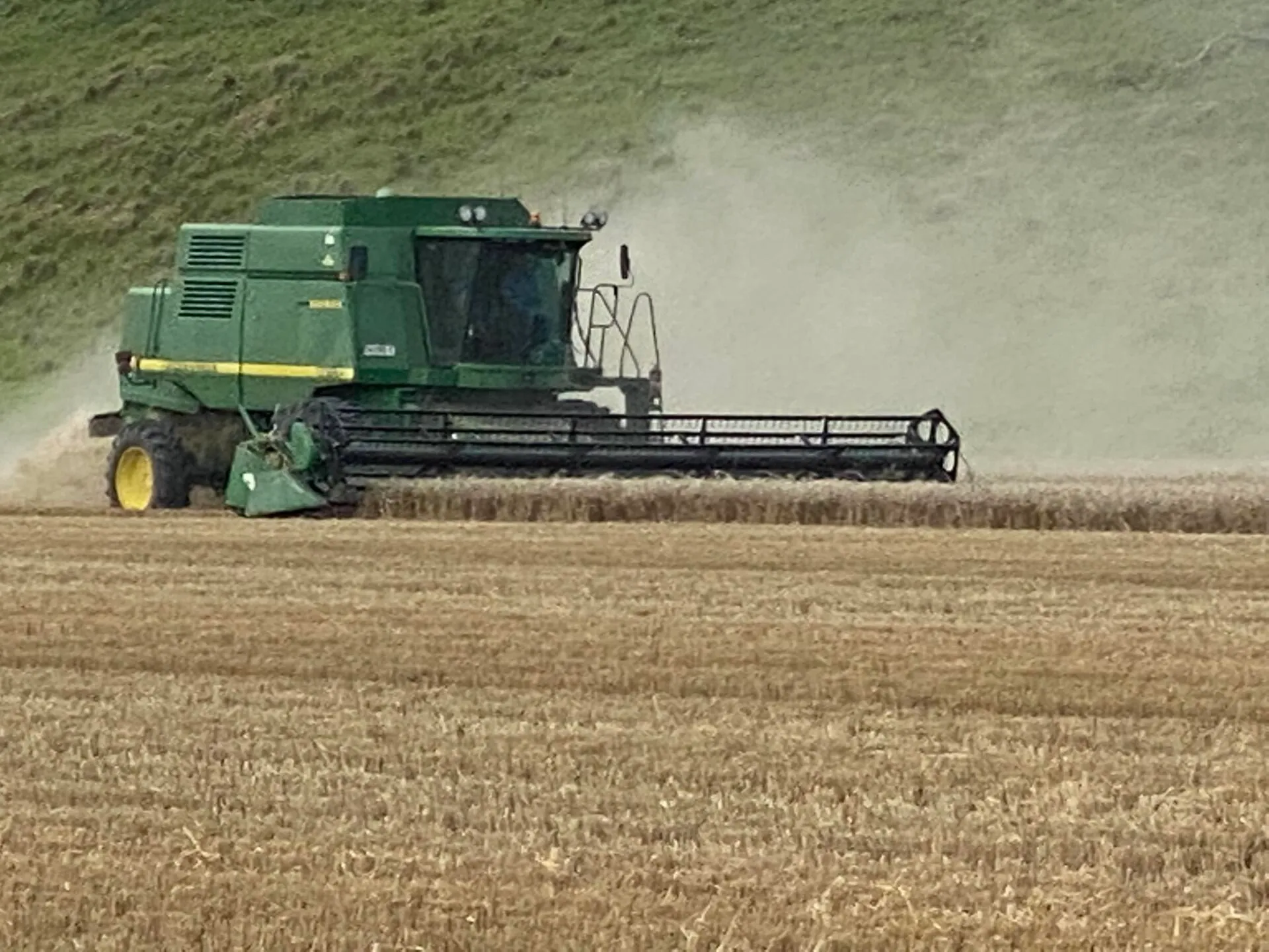 Summer crops on the river flats