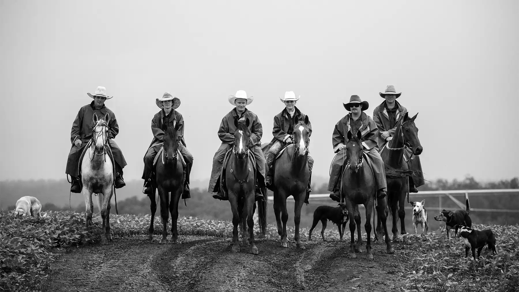 Yulgilbar team mustering on Quarter Horses
