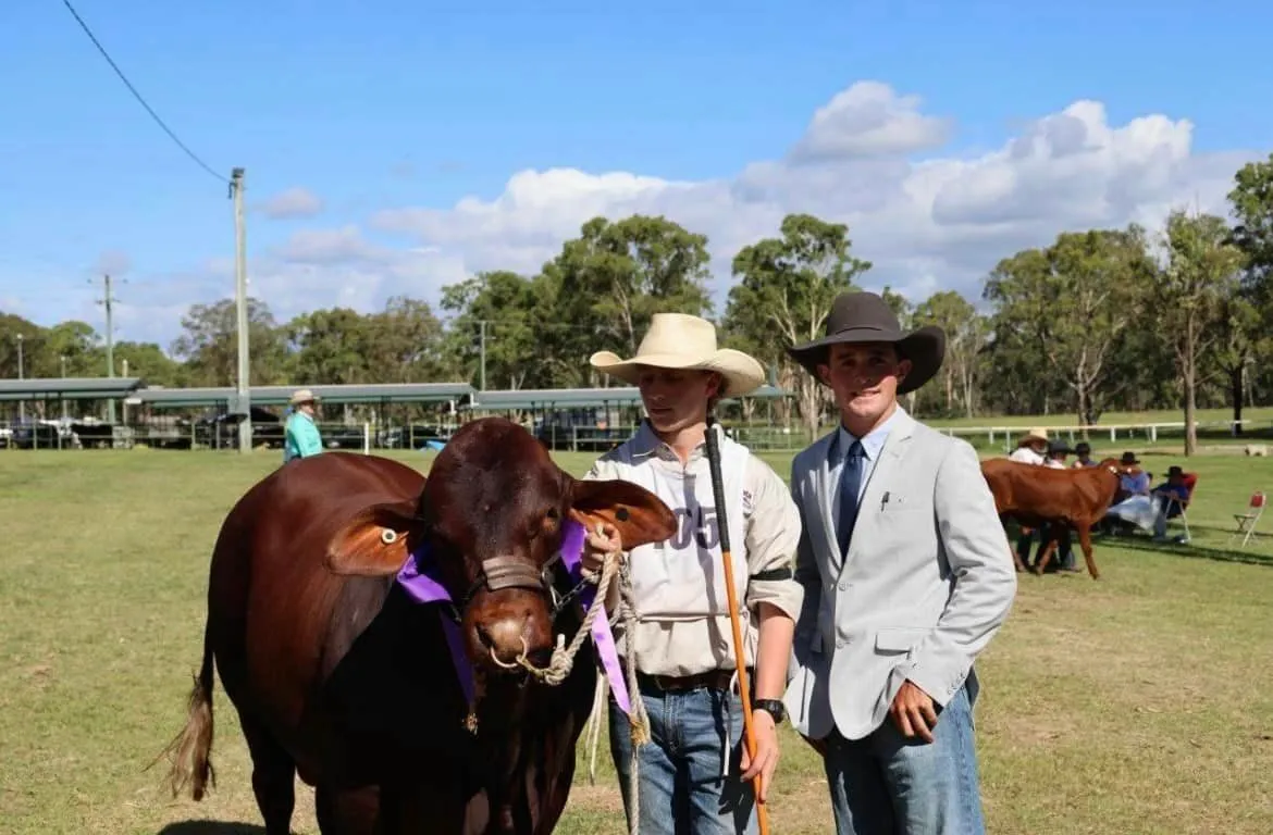 Champion Male — Yulgilbar Tick Tick Boom